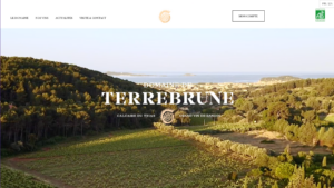 Terrebrune